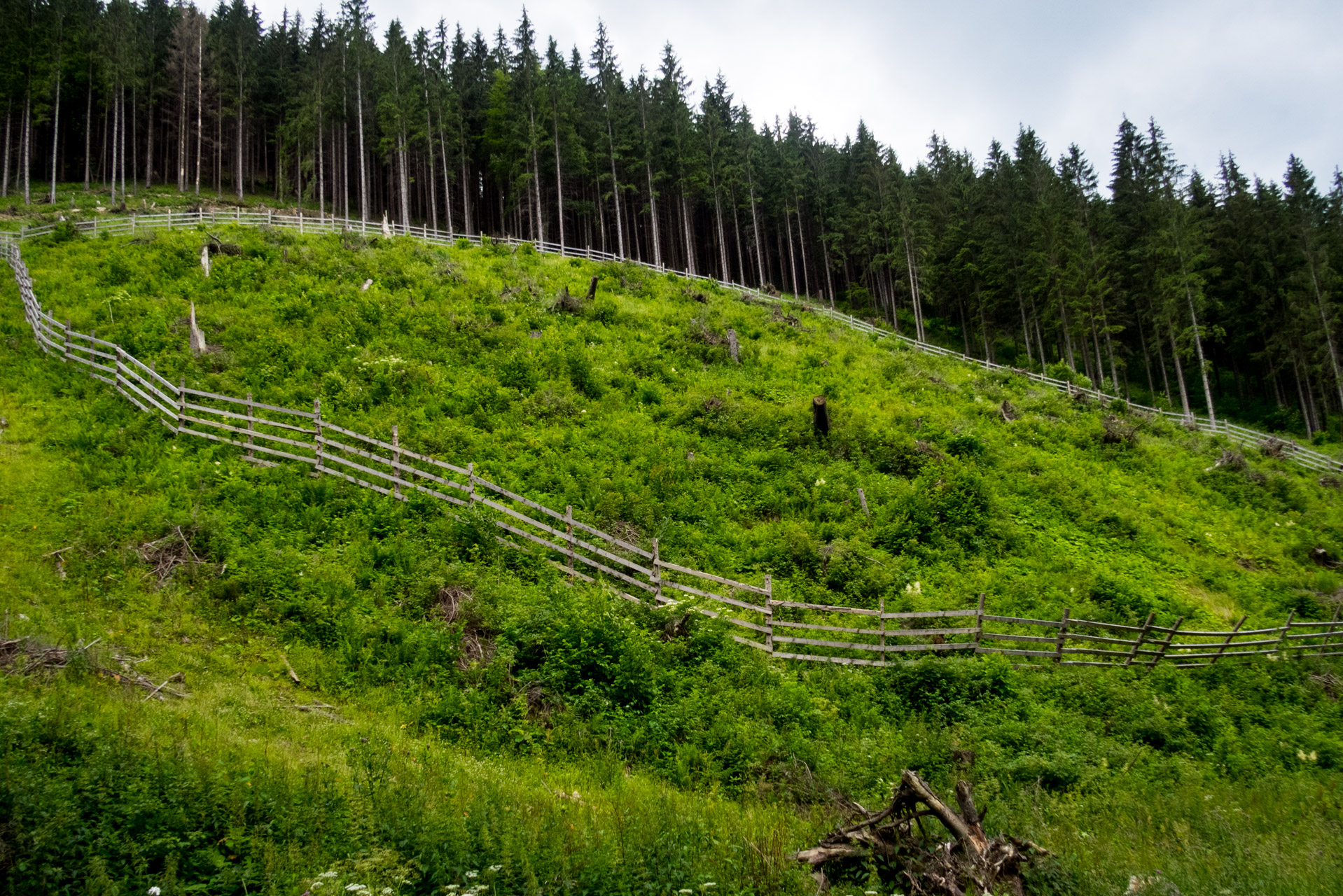 Salatín z Ludrovej cez Úplazy (Nízke Tatry)