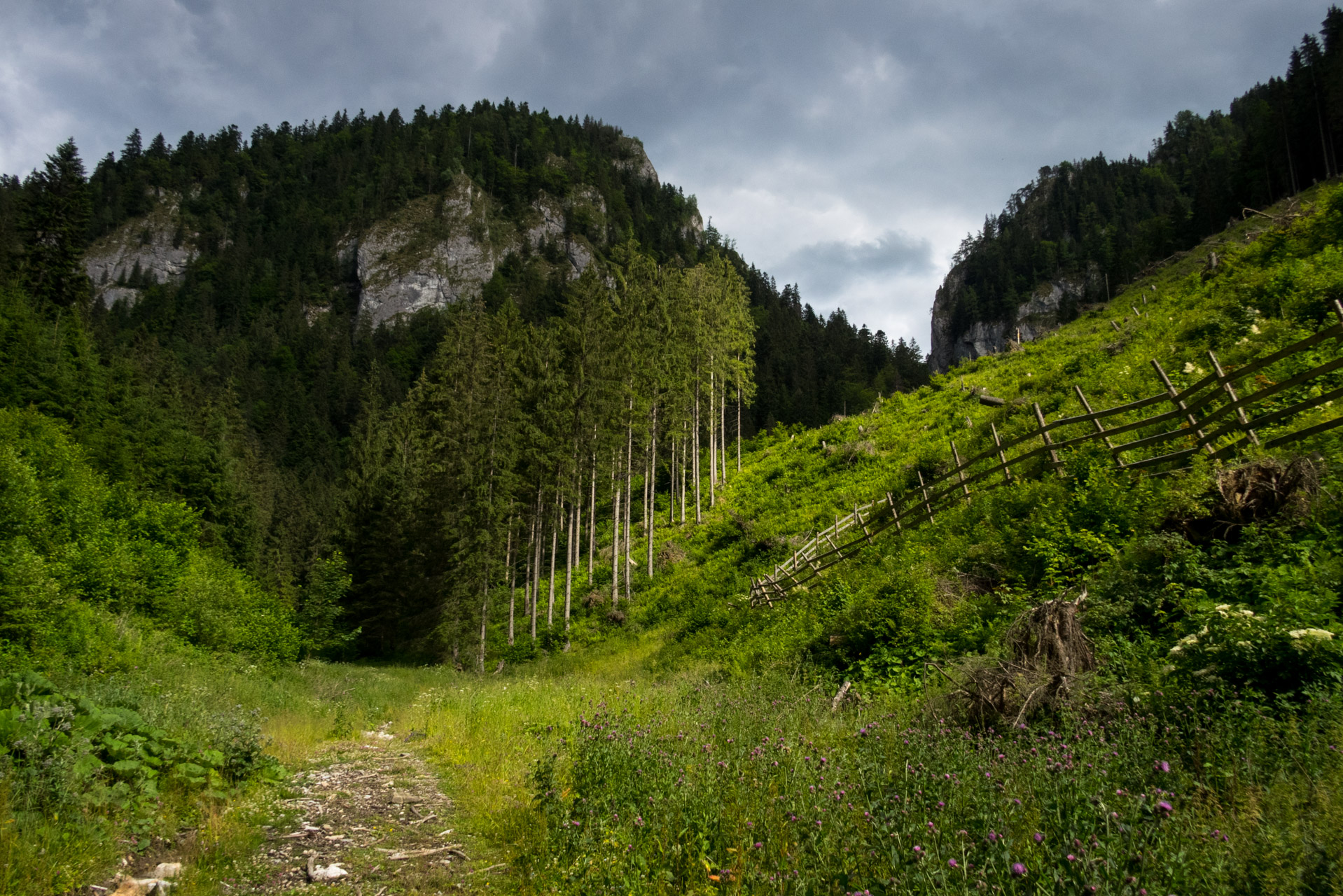 Salatín z Ludrovej cez Úplazy (Nízke Tatry)