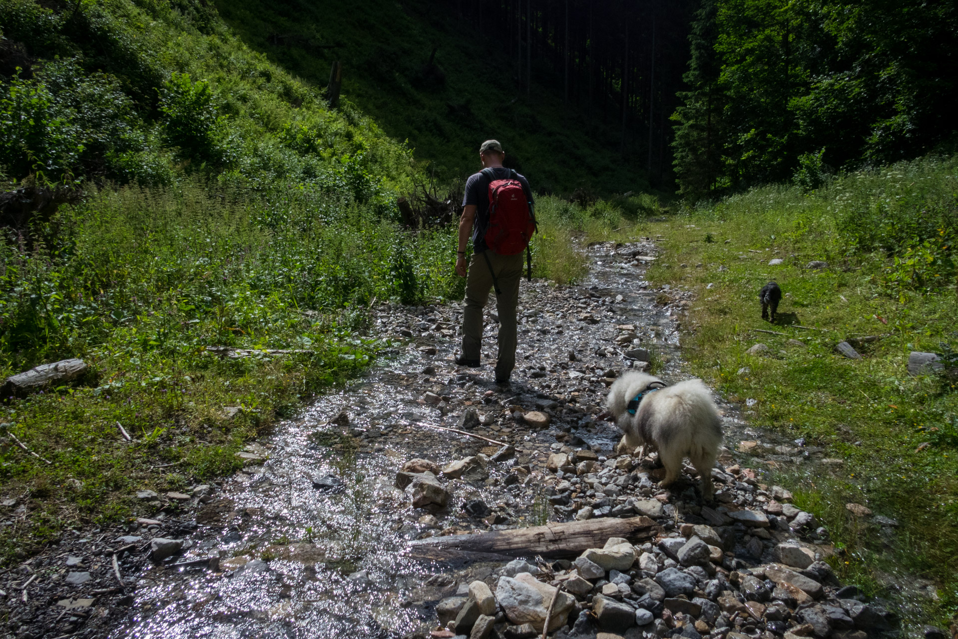 Salatín z Ludrovej cez Úplazy (Nízke Tatry)