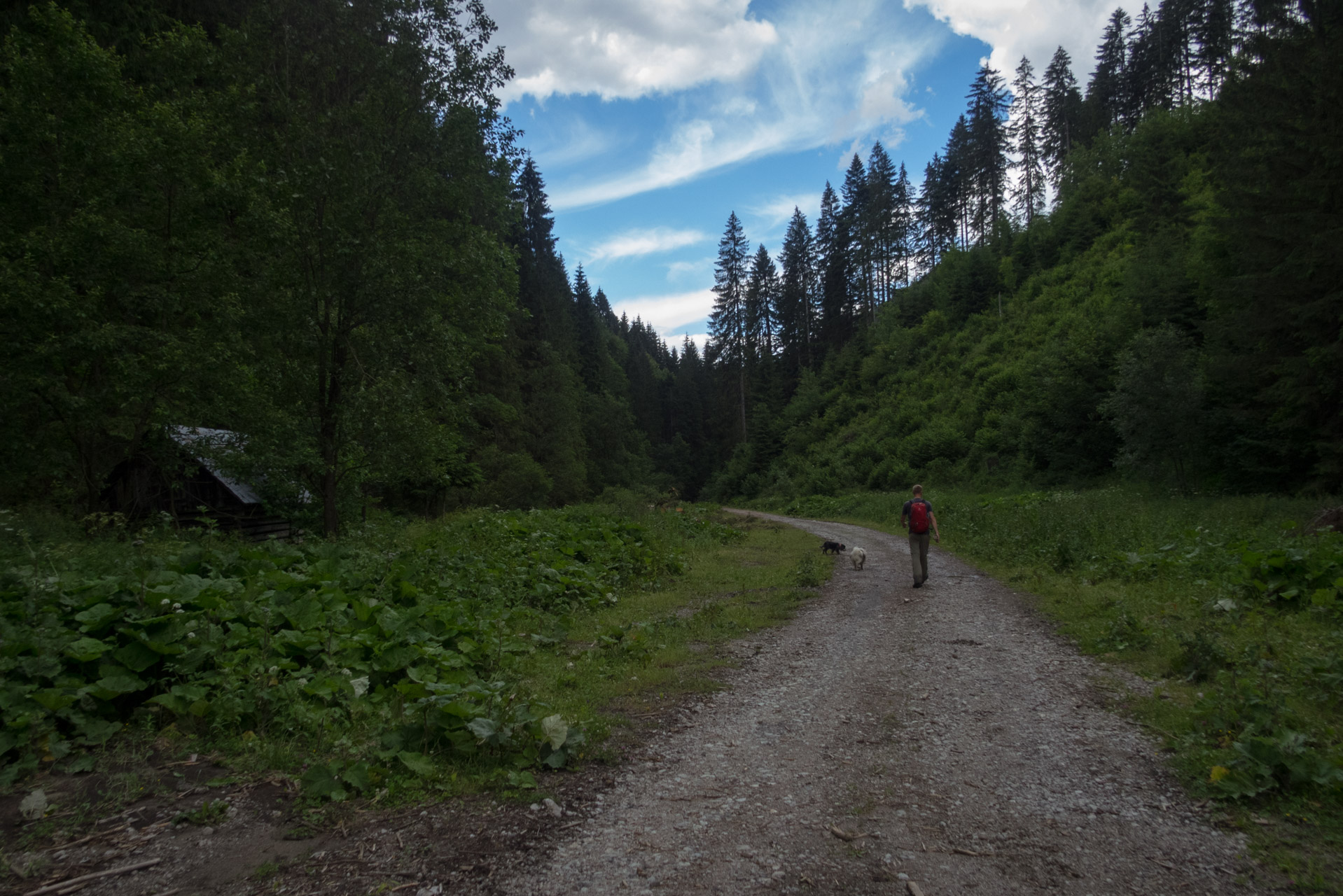 Salatín z Ludrovej cez Úplazy (Nízke Tatry)