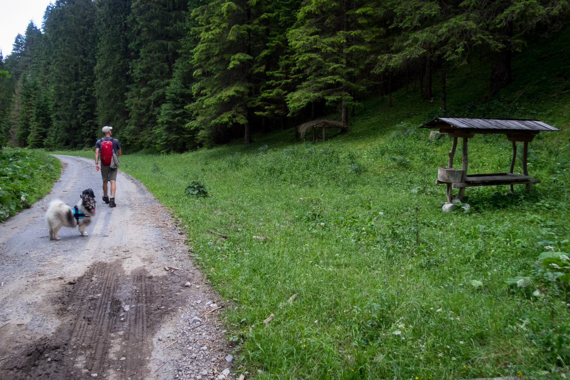 Salatín z Ludrovej cez Úplazy (Nízke Tatry)