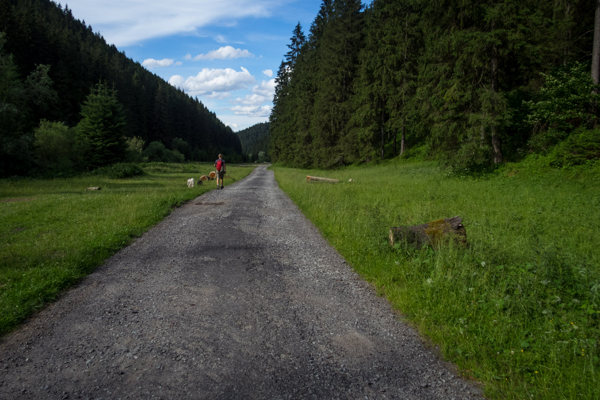 Salatín z Ludrovej cez Úplazy (Nízke Tatry)