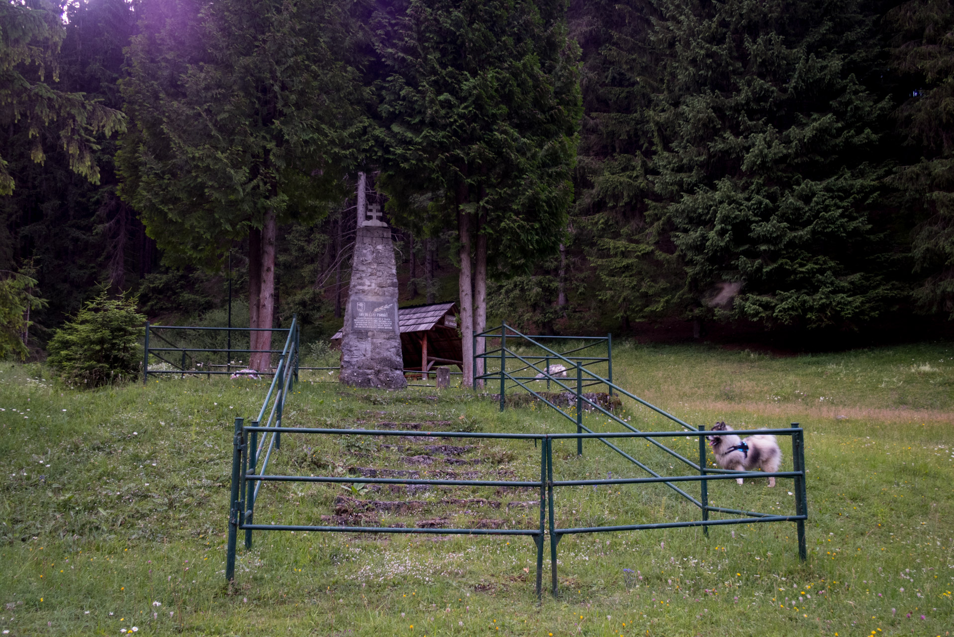 Salatín z Ludrovej cez Úplazy (Nízke Tatry)