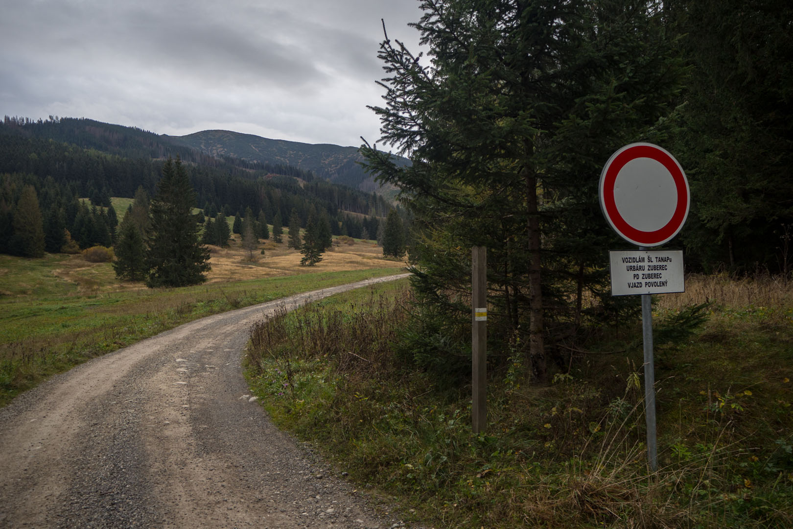 Salatín zo Zuberca, Prtí (Západné Tatry)