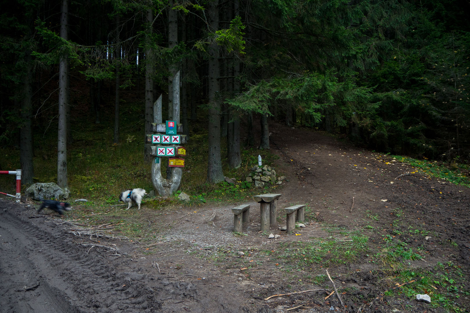 Salatín zo Zuberca, Prtí (Západné Tatry)