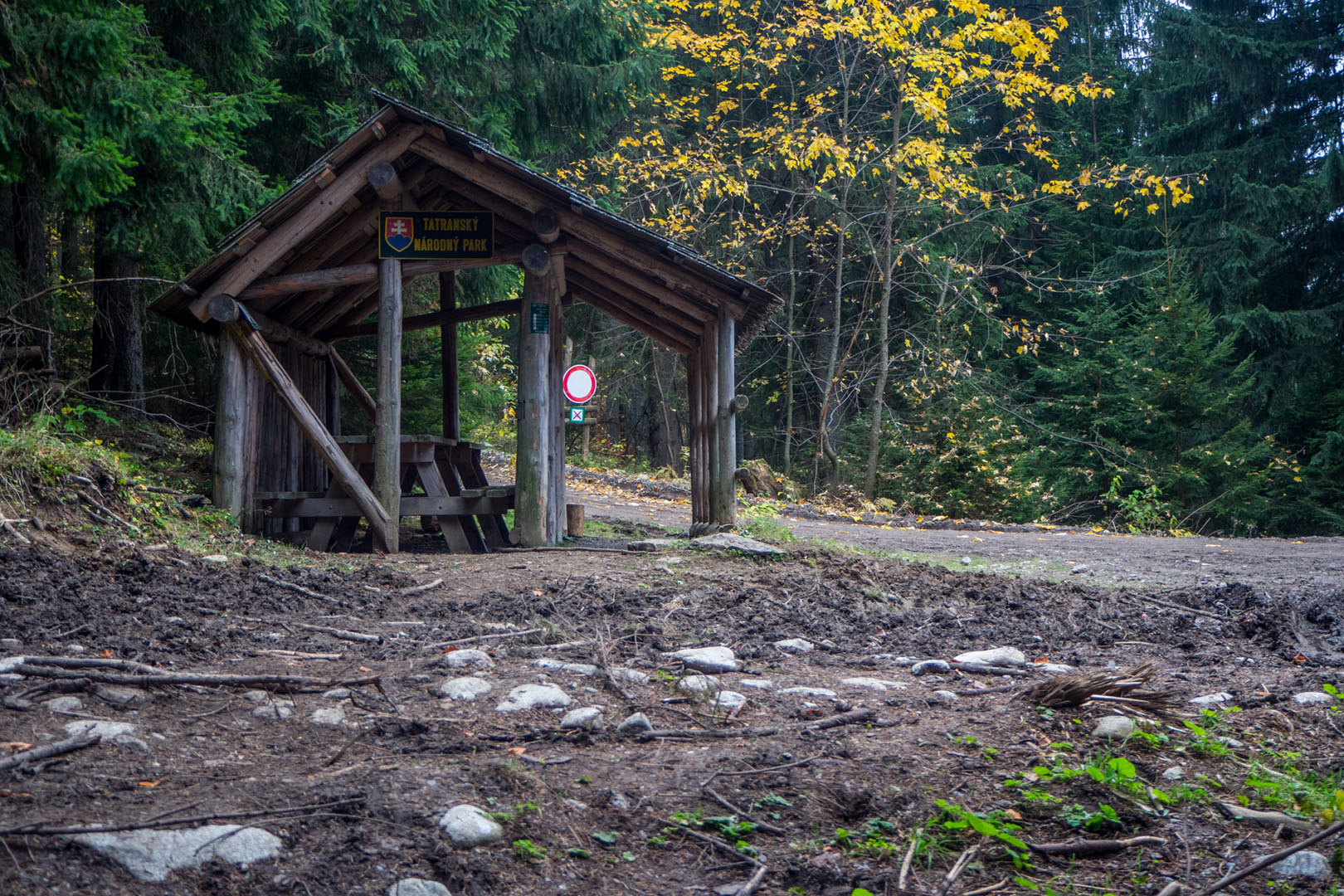 Salatín zo Zuberca, Prtí (Západné Tatry)