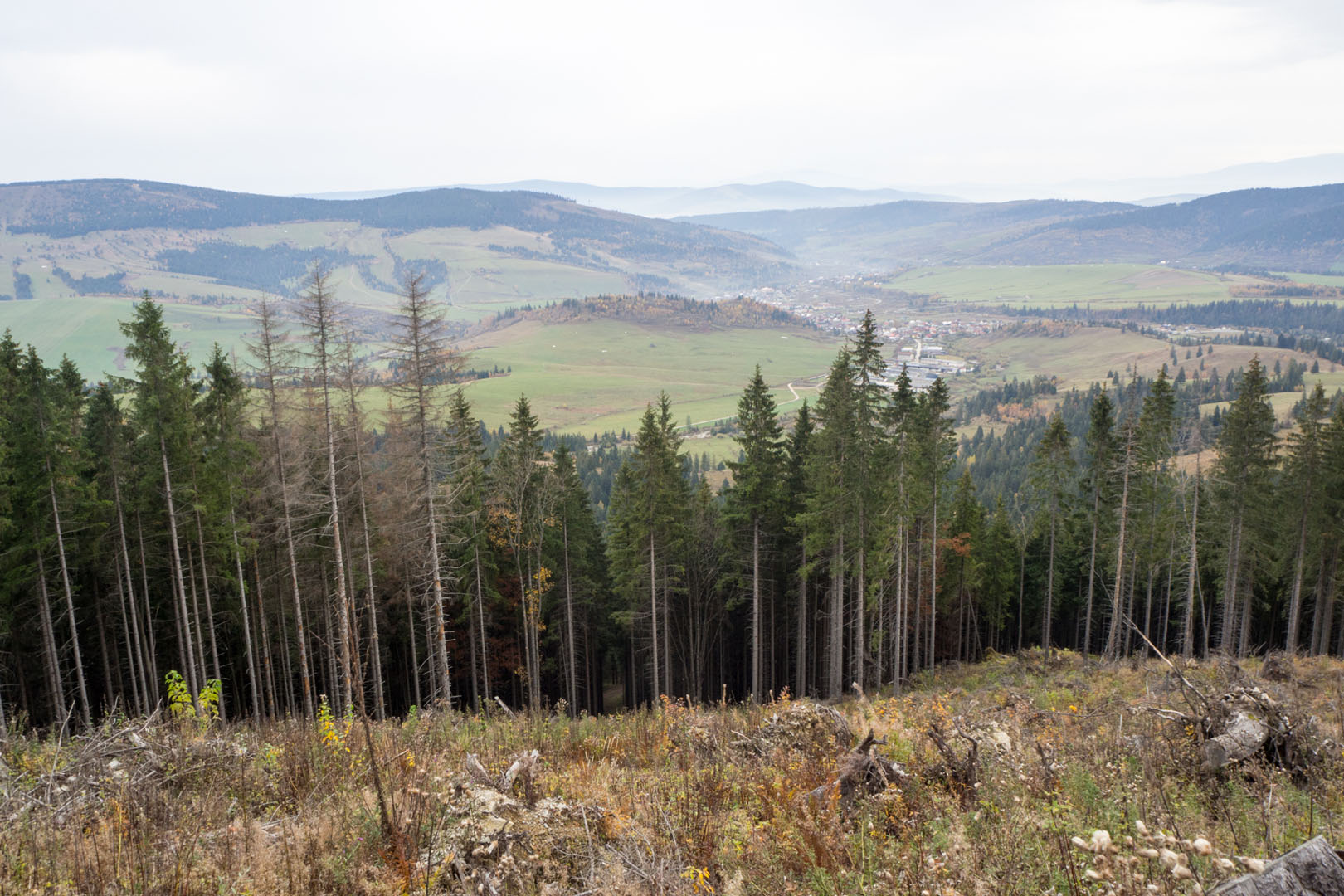 Salatín zo Zuberca, Prtí (Západné Tatry)