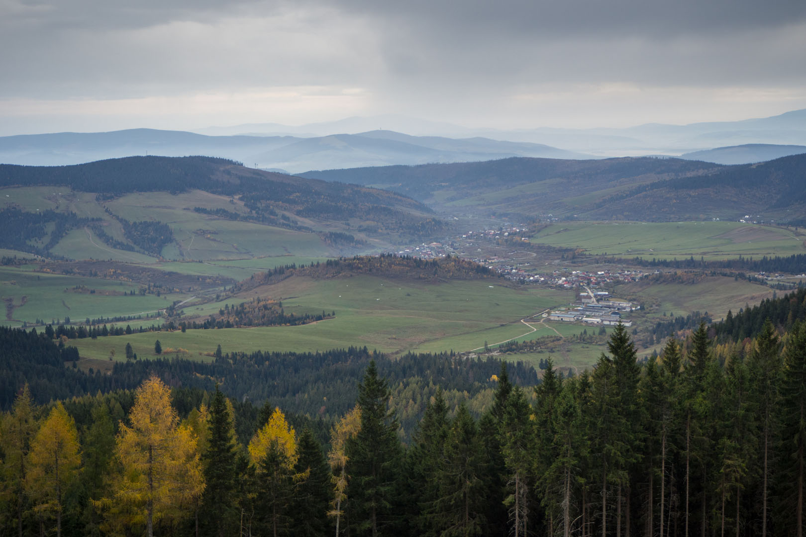 Salatín zo Zuberca, Prtí (Západné Tatry)