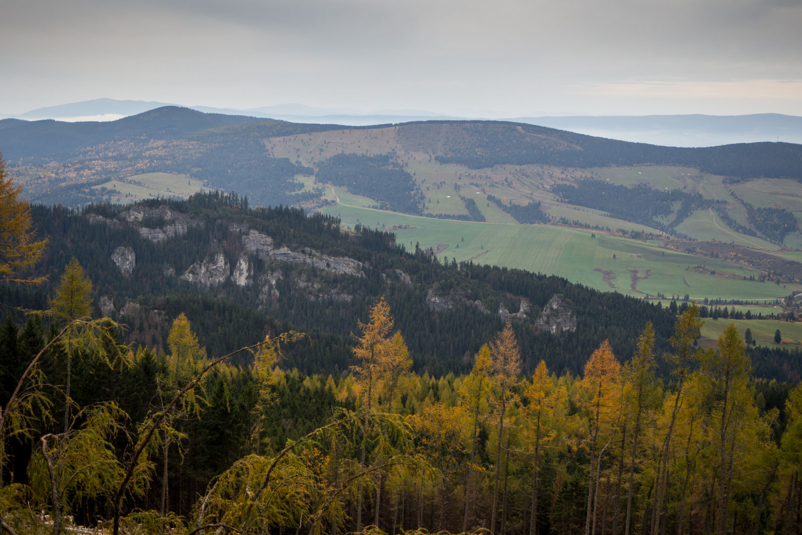 Salatín zo Zuberca, Prtí (Západné Tatry)