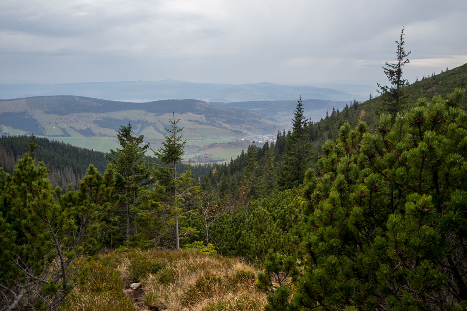 Salatín zo Zuberca, Prtí (Západné Tatry)