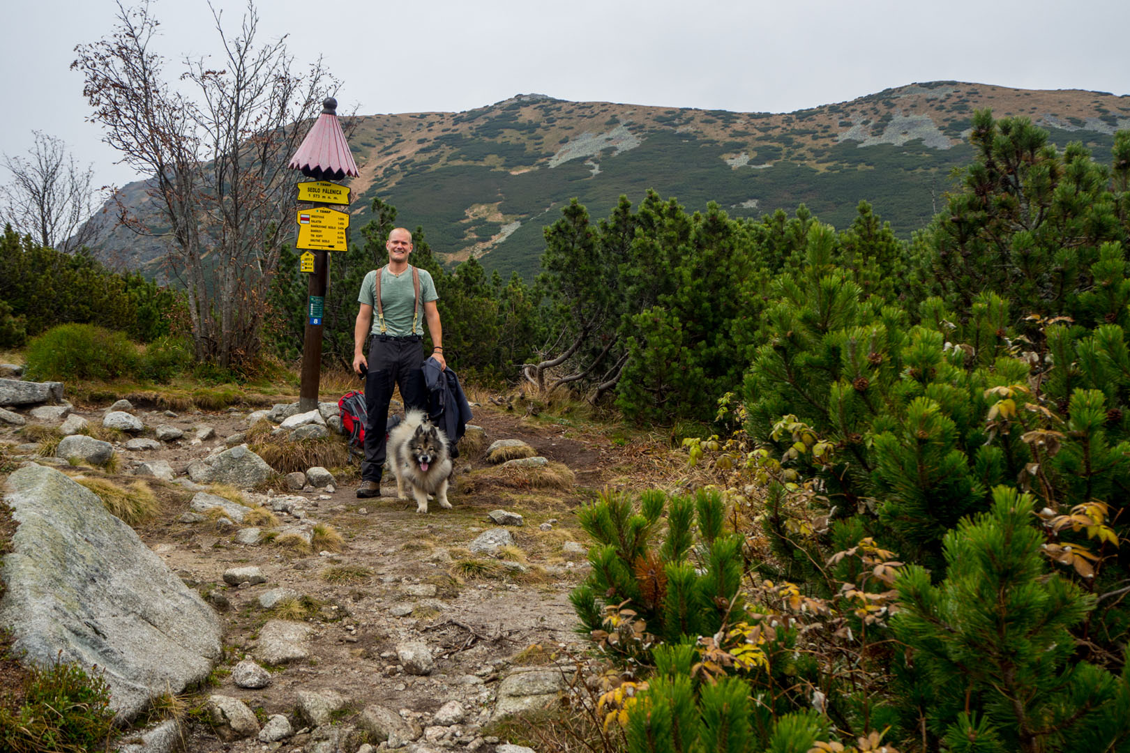 Salatín zo Zuberca, Prtí (Západné Tatry)