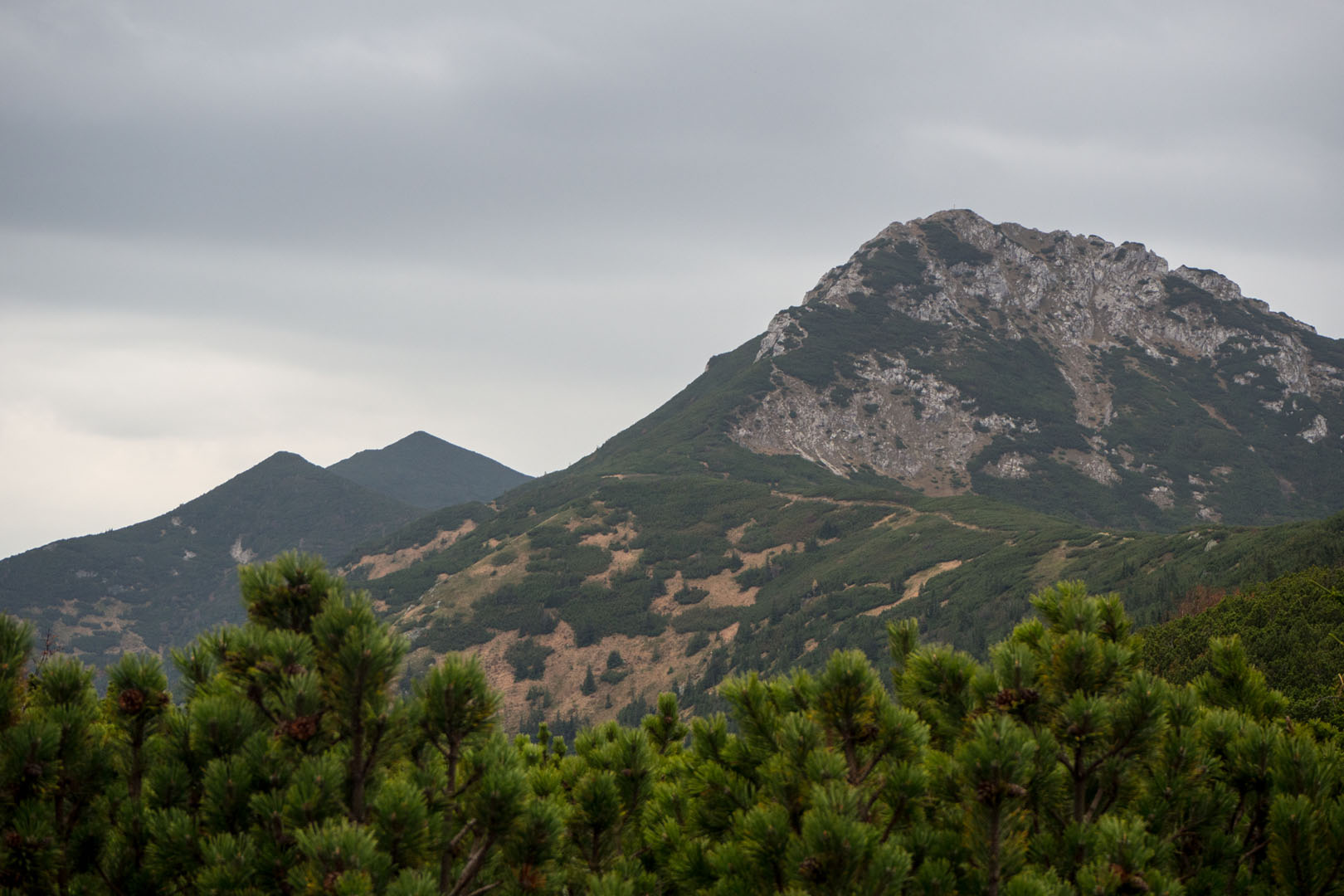 Salatín zo Zuberca, Prtí (Západné Tatry)