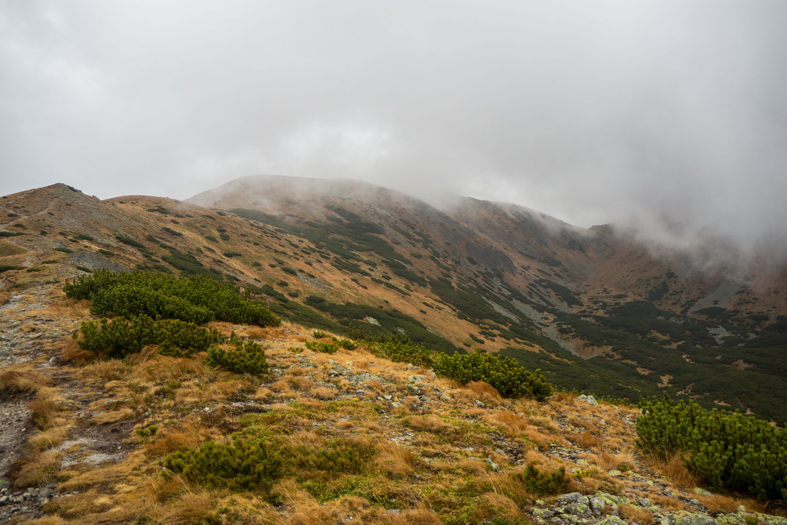 Salatín zo Zuberca, Prtí (Západné Tatry)