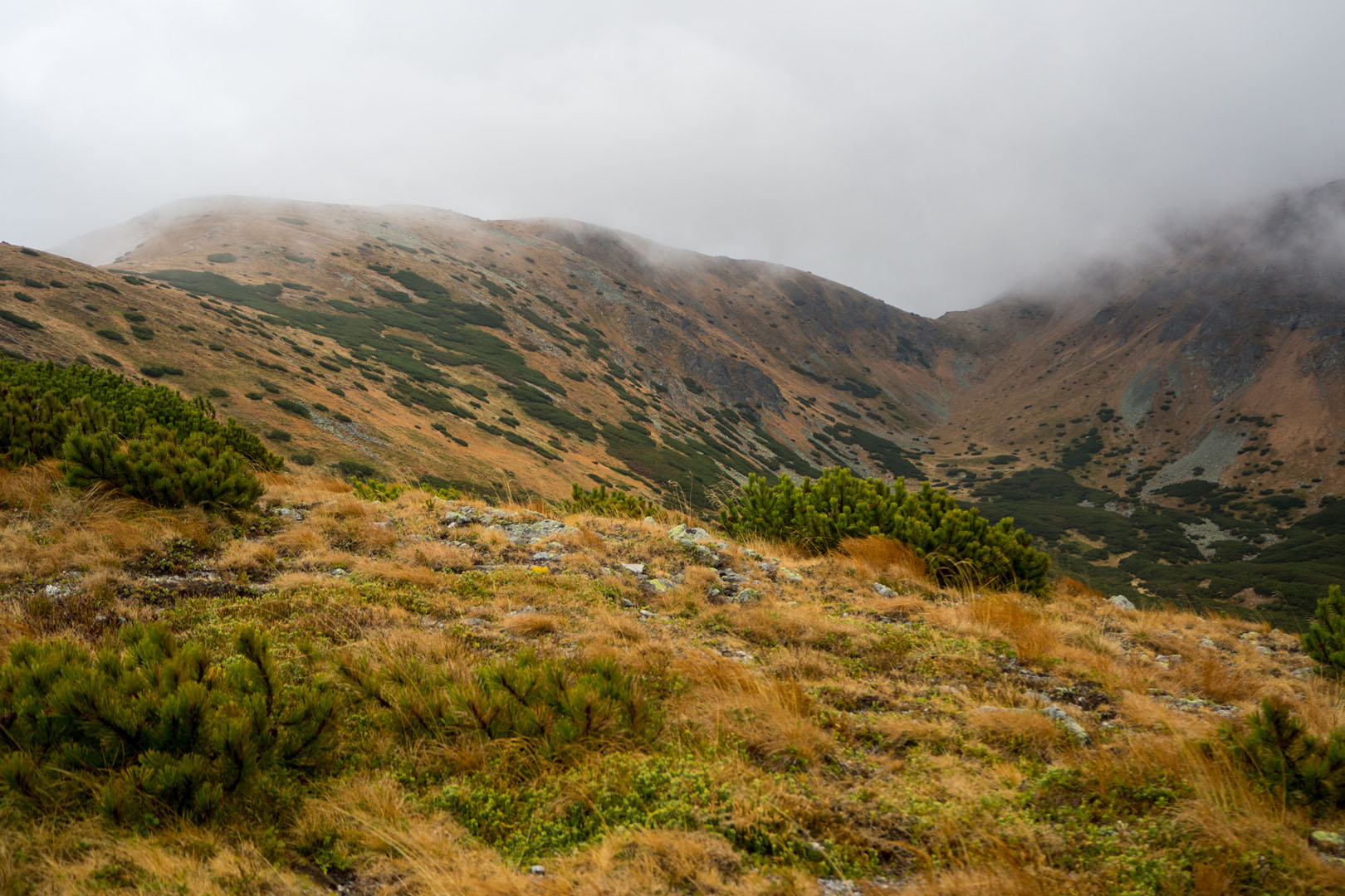 Salatín zo Zuberca, Prtí (Západné Tatry)