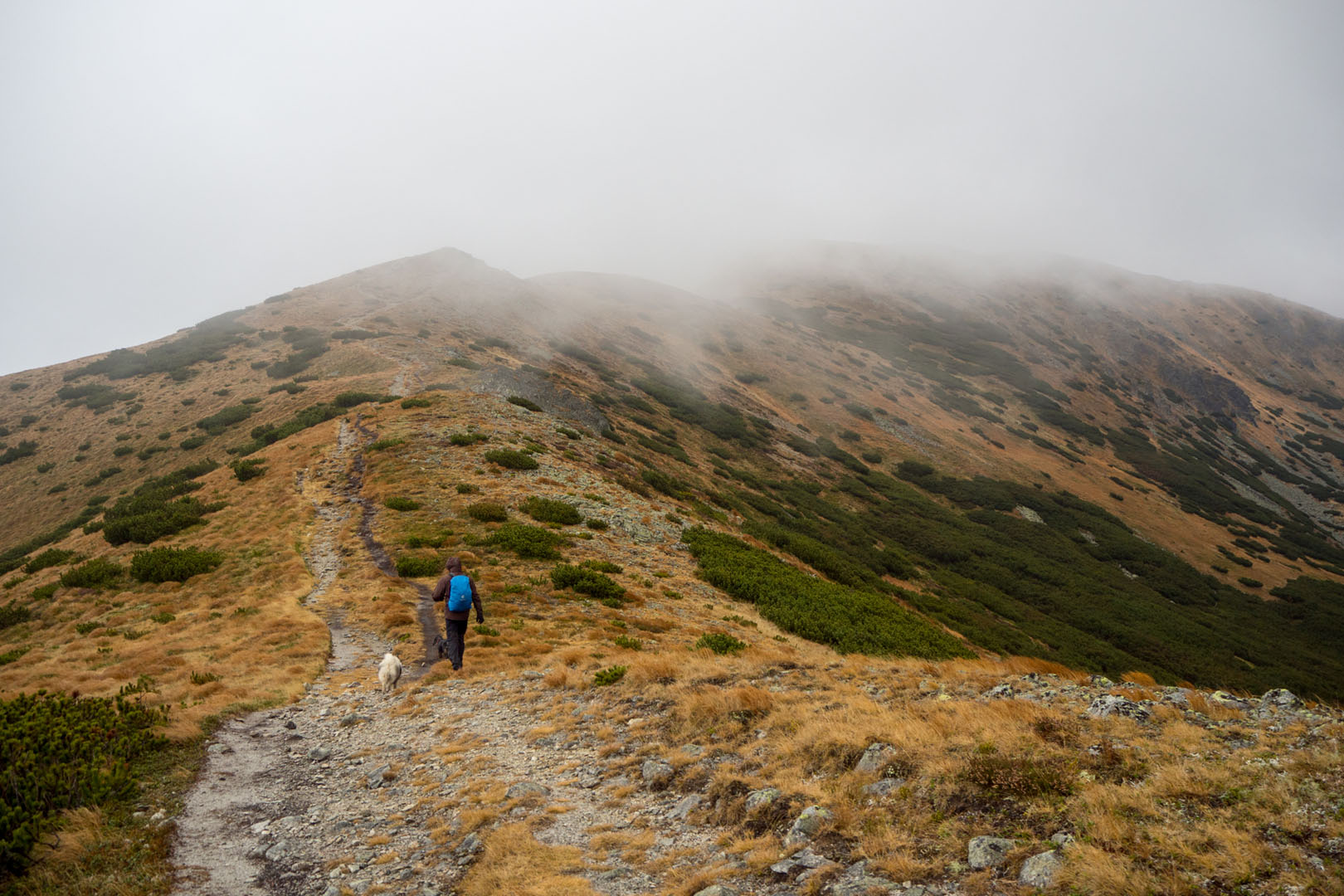 Salatín zo Zuberca, Prtí (Západné Tatry)