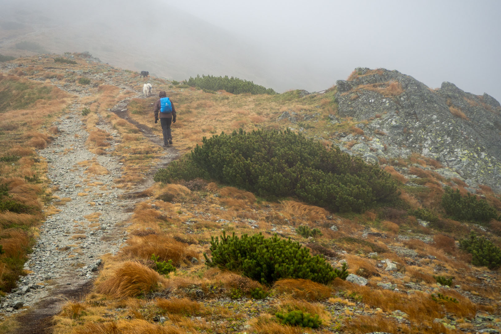 Salatín zo Zuberca, Prtí (Západné Tatry)