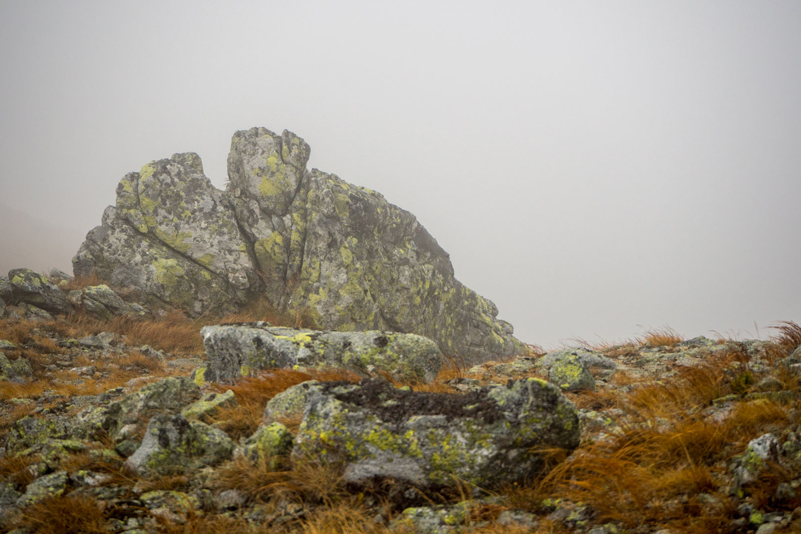 Salatín zo Zuberca, Prtí (Západné Tatry)