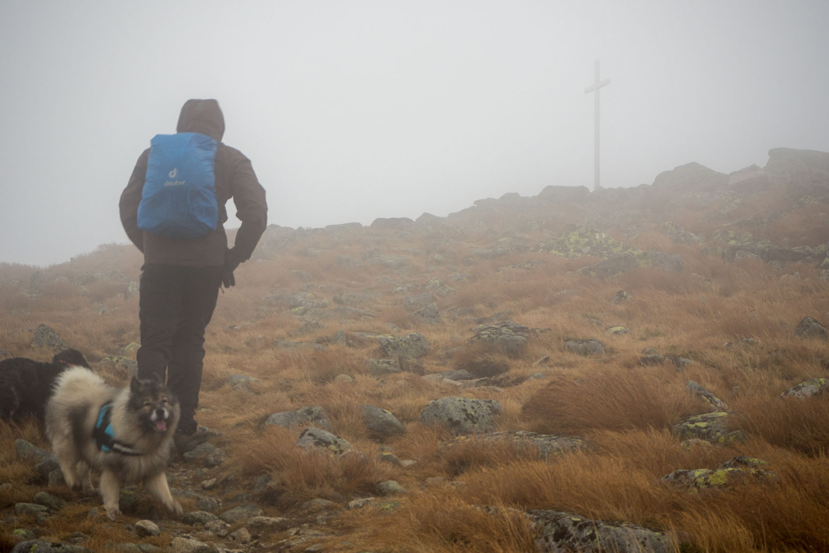 Salatín zo Zuberca, Prtí (Západné Tatry)