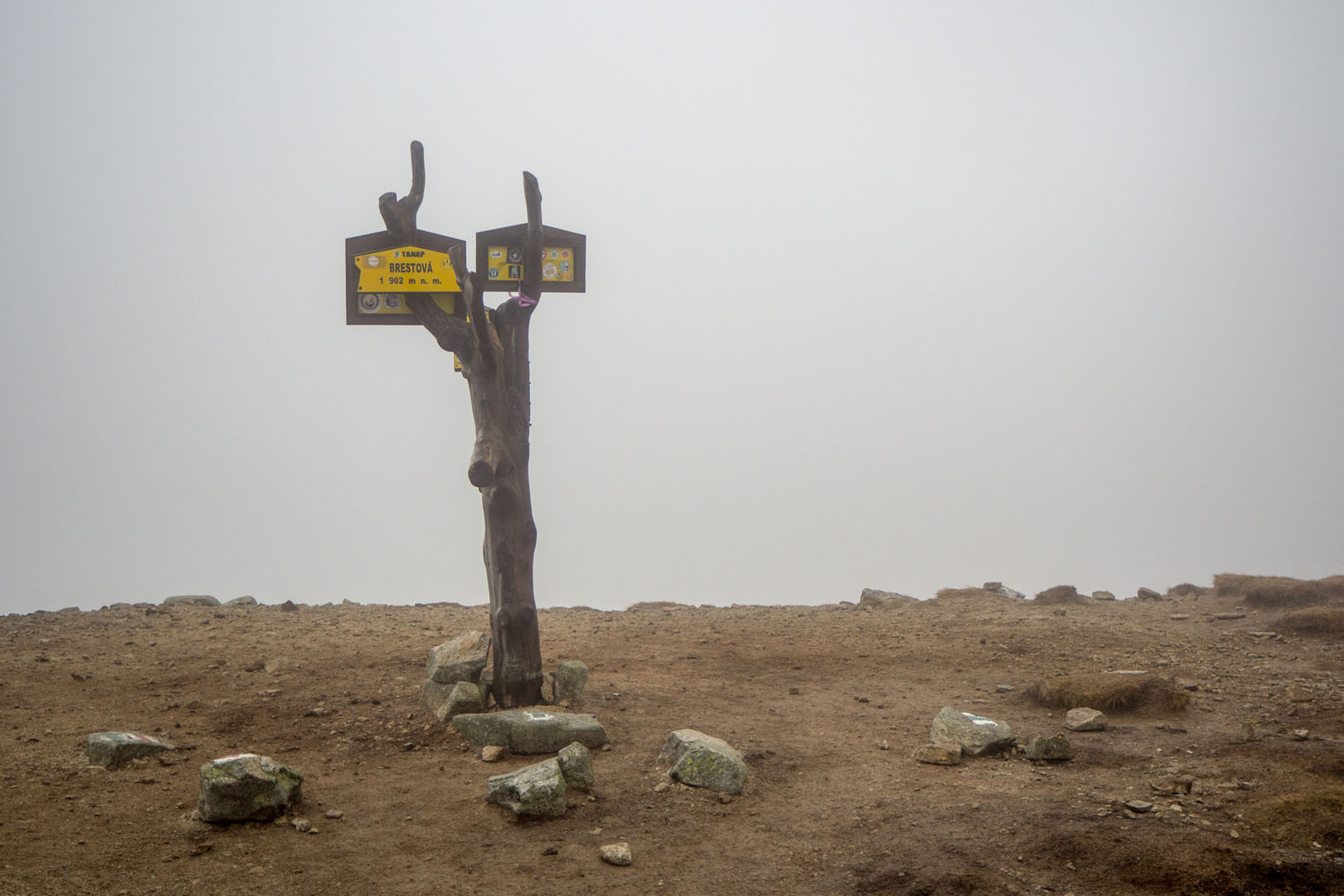 Salatín zo Zuberca, Prtí (Západné Tatry)