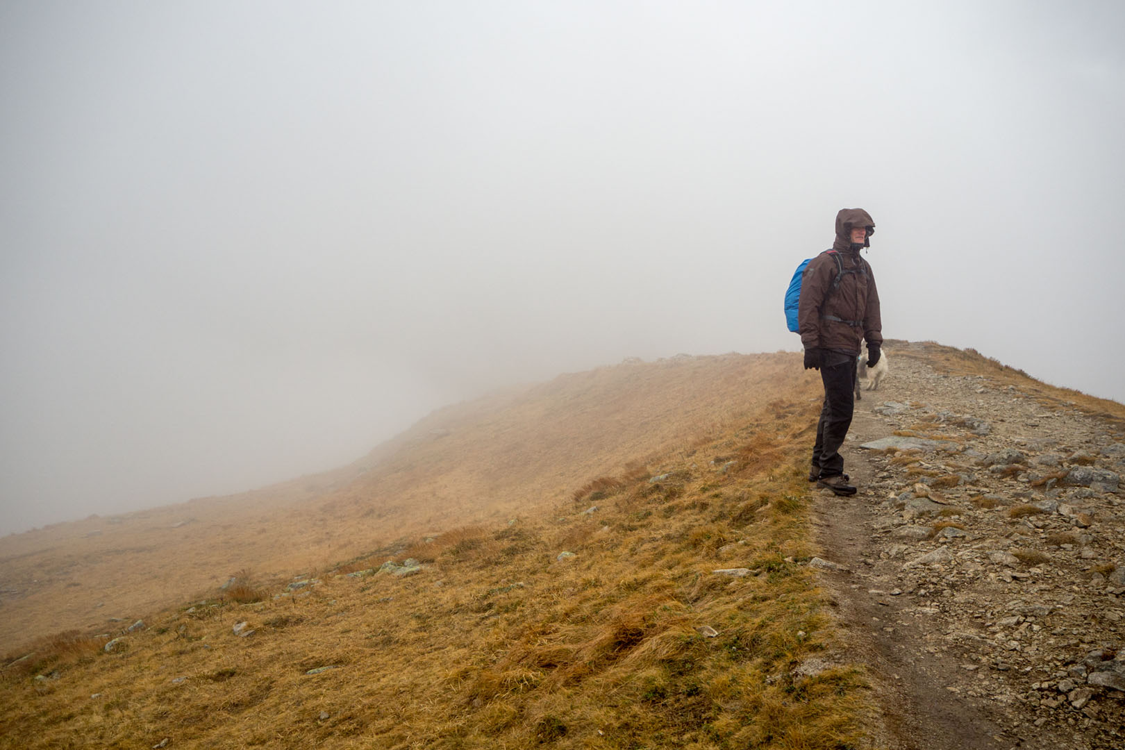 Salatín zo Zuberca, Prtí (Západné Tatry)