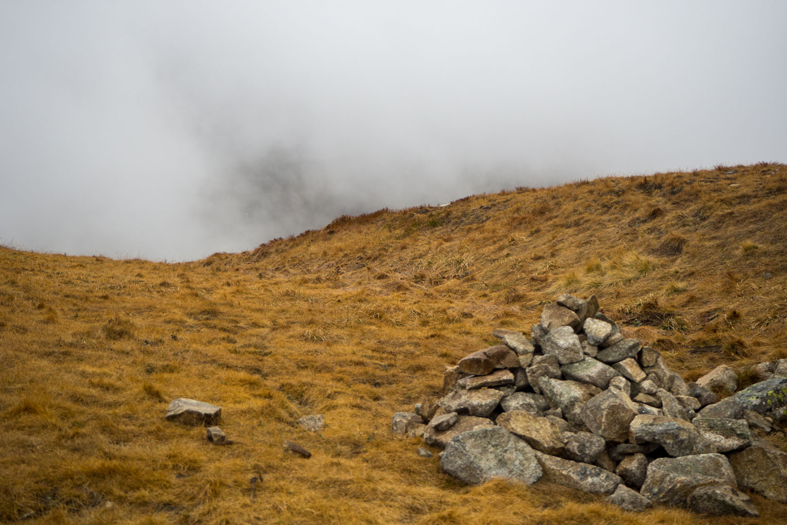 Salatín zo Zuberca, Prtí (Západné Tatry)