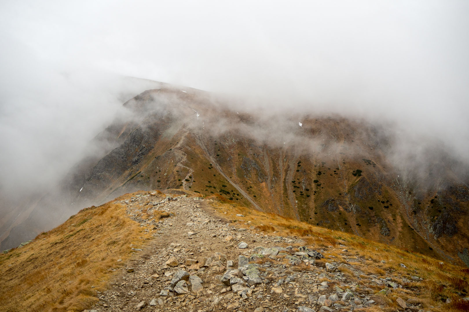 Salatín zo Zuberca, Prtí (Západné Tatry)