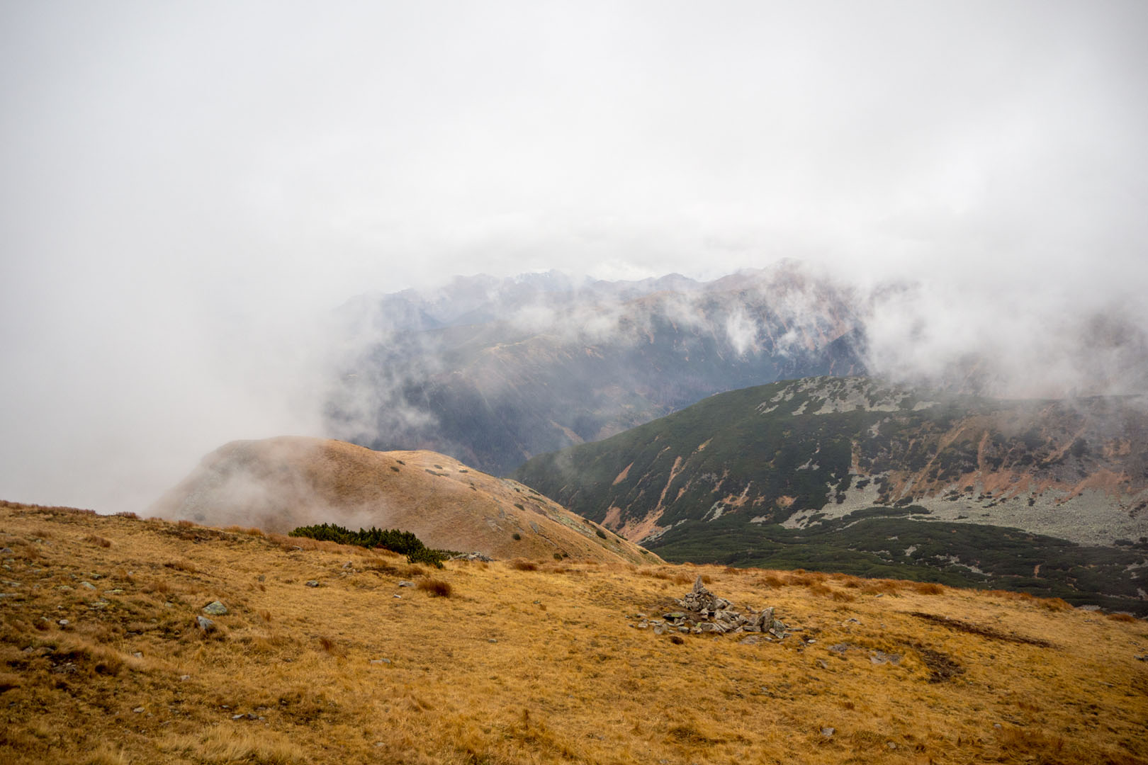 Salatín zo Zuberca, Prtí (Západné Tatry)