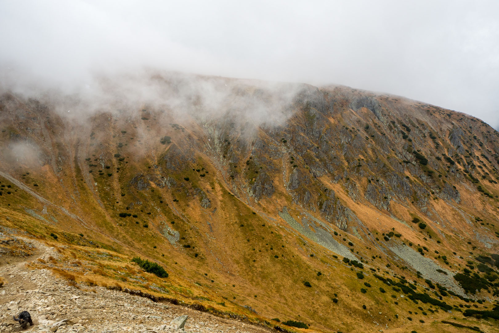 Salatín zo Zuberca, Prtí (Západné Tatry)