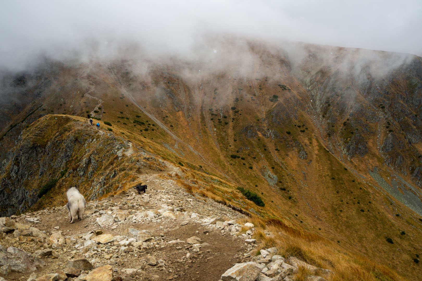 Salatín zo Zuberca, Prtí (Západné Tatry)