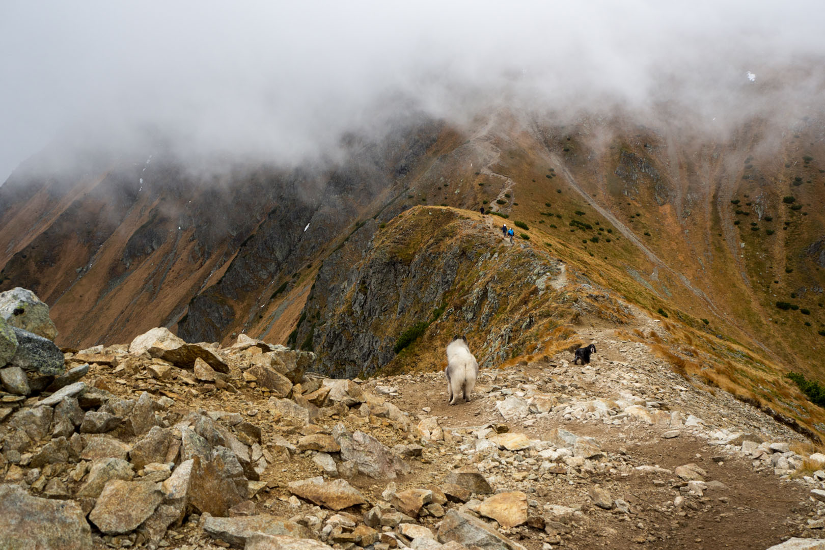 Salatín zo Zuberca, Prtí (Západné Tatry)