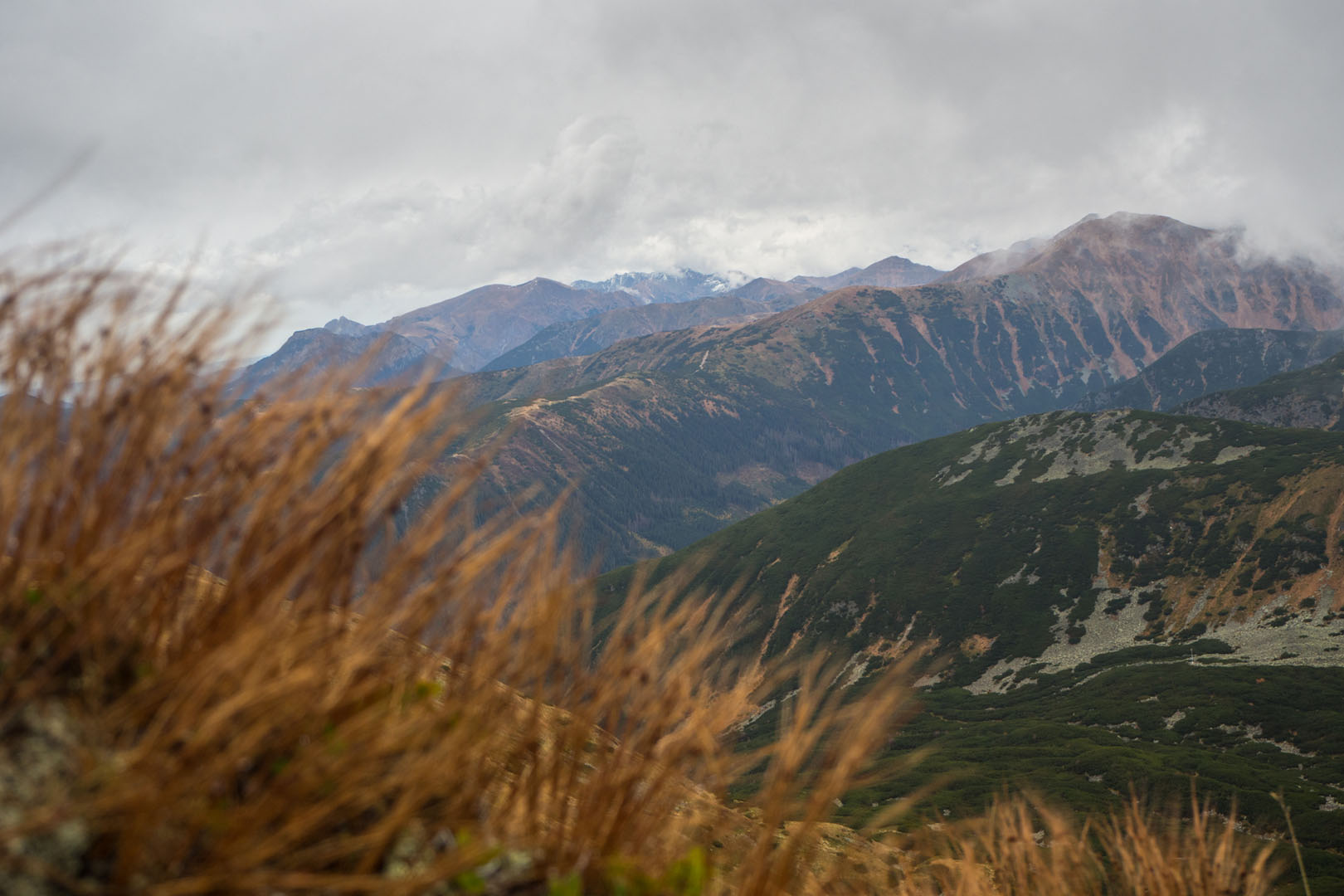 Salatín zo Zuberca, Prtí (Západné Tatry)