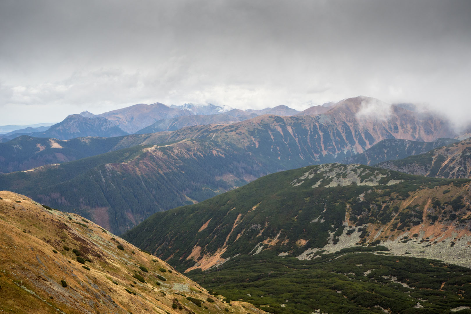 Salatín zo Zuberca, Prtí (Západné Tatry)