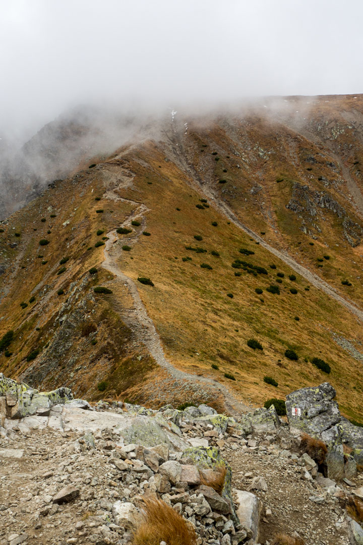 Salatín zo Zuberca, Prtí (Západné Tatry)