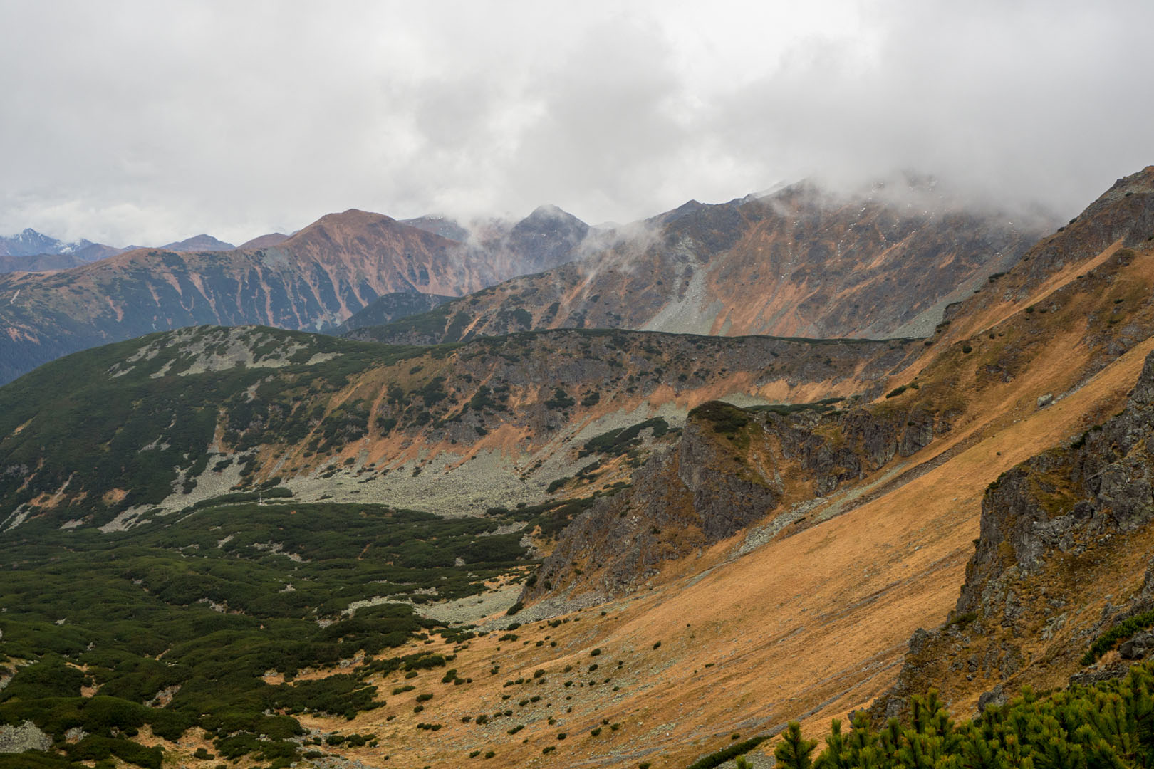 Salatín zo Zuberca, Prtí (Západné Tatry)