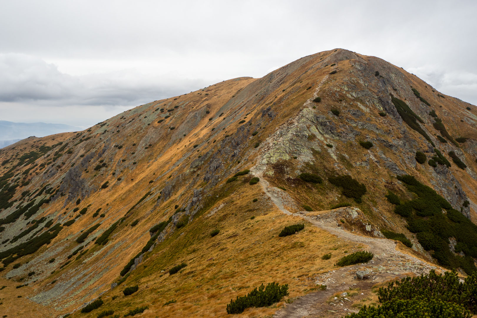 Salatín zo Zuberca, Prtí (Západné Tatry)