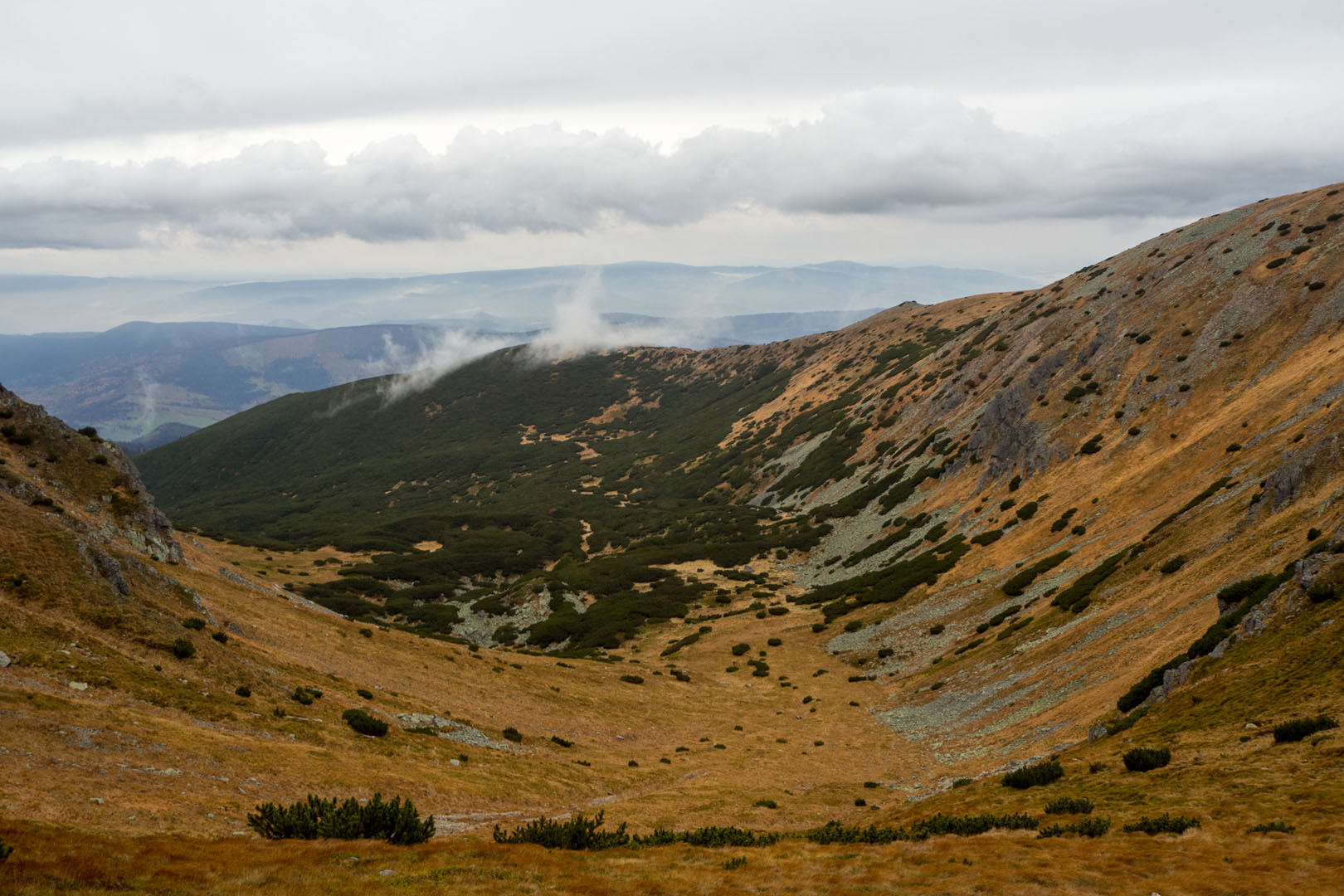 Salatín zo Zuberca, Prtí (Západné Tatry)