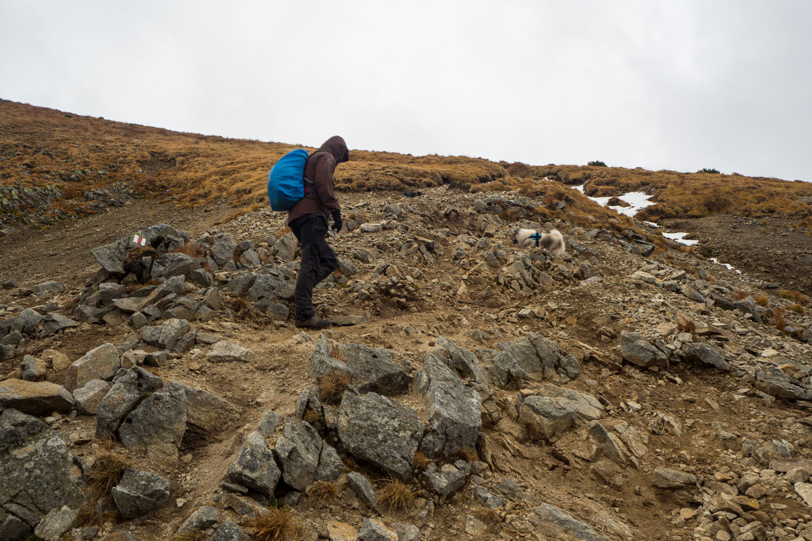 Salatín zo Zuberca, Prtí (Západné Tatry)