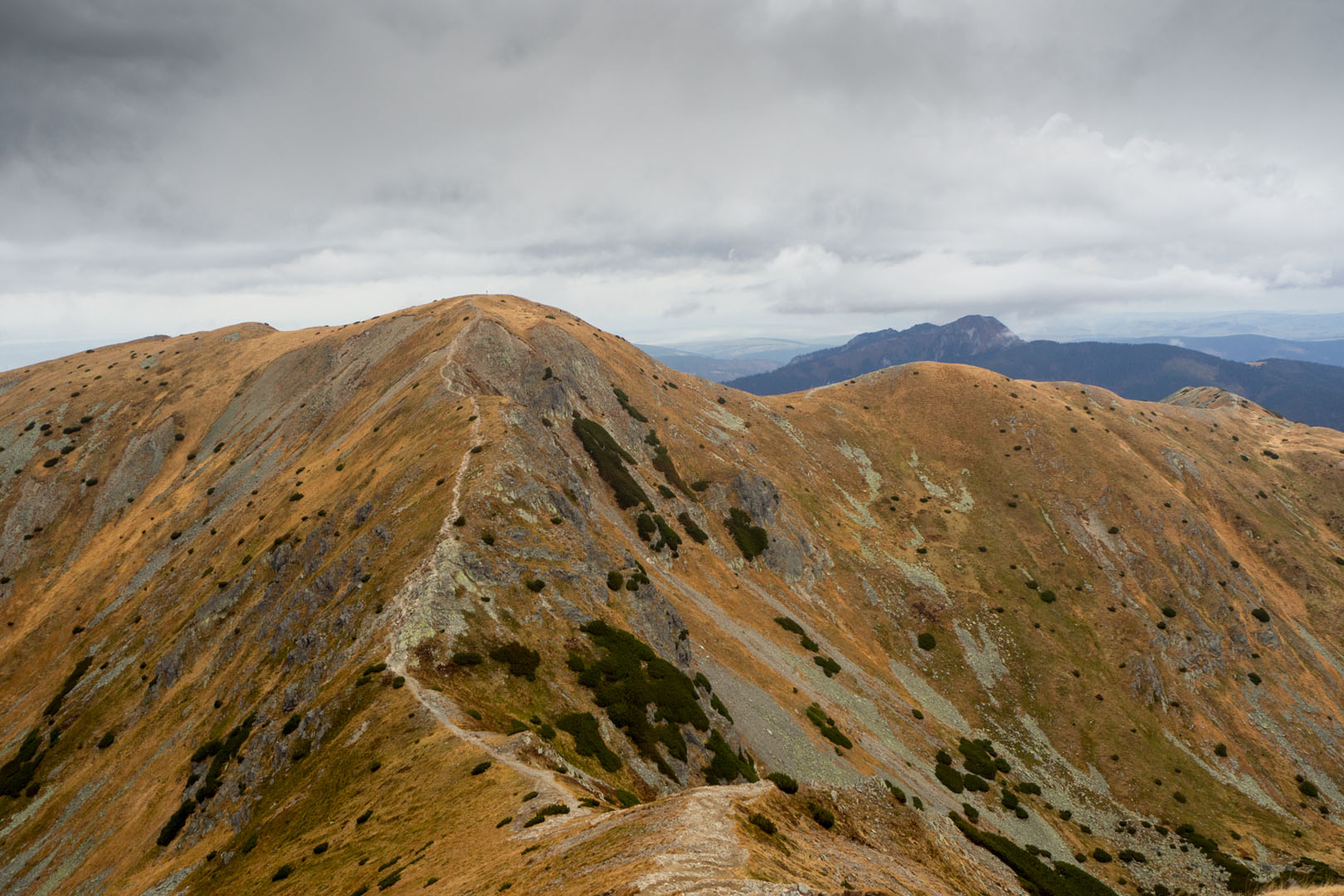 Salatín zo Zuberca, Prtí (Západné Tatry)