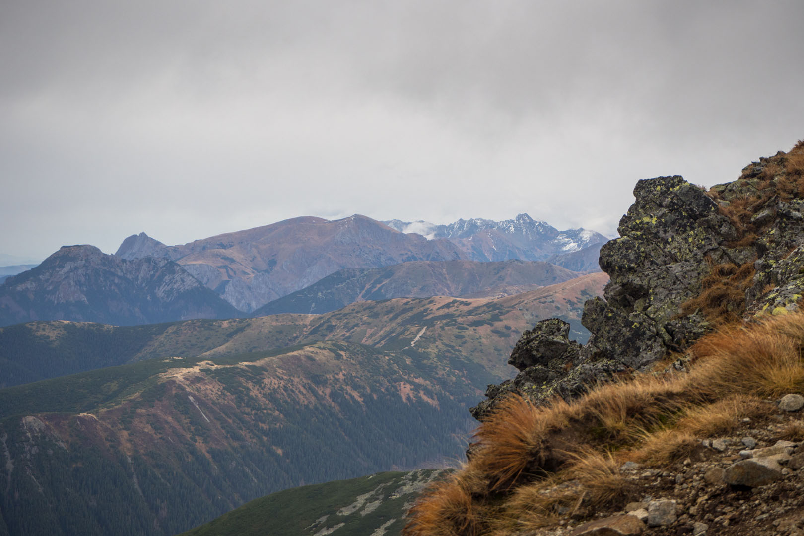 Salatín zo Zuberca, Prtí (Západné Tatry)