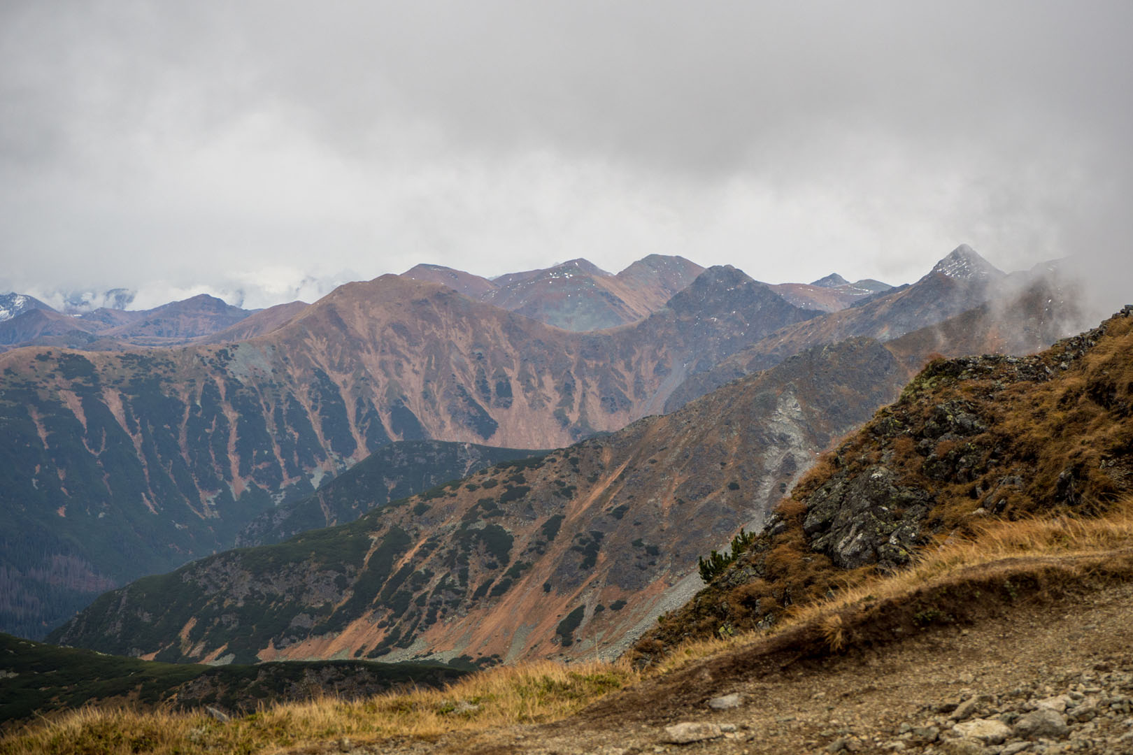 Salatín zo Zuberca, Prtí (Západné Tatry)