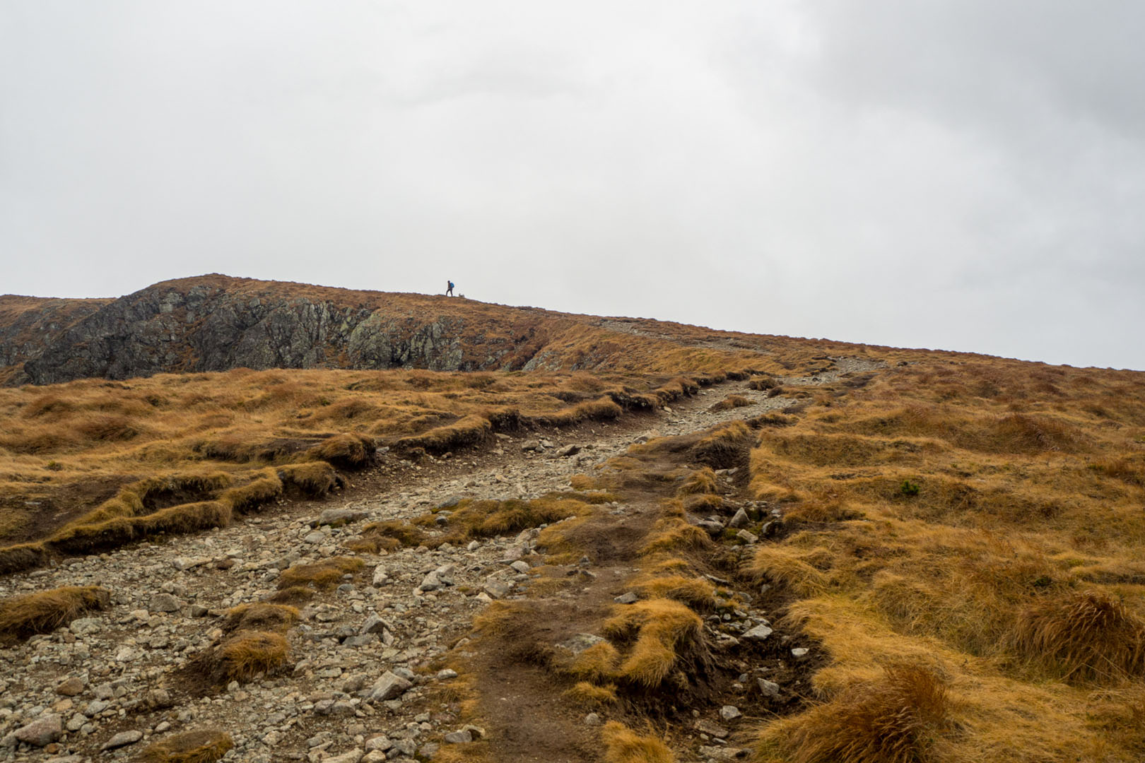 Salatín zo Zuberca, Prtí (Západné Tatry)