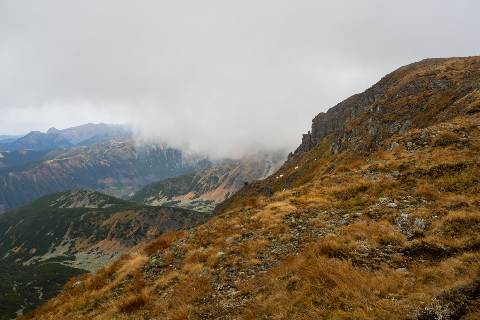 Salatín zo Zuberca, Prtí (Západné Tatry)