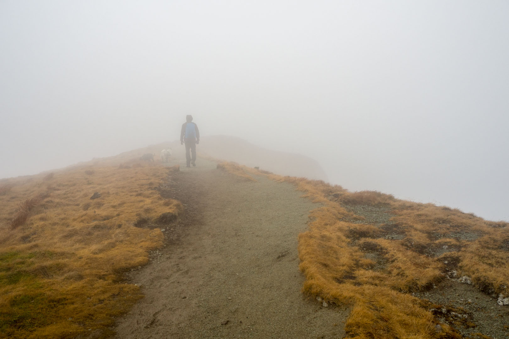 Salatín zo Zuberca, Prtí (Západné Tatry)