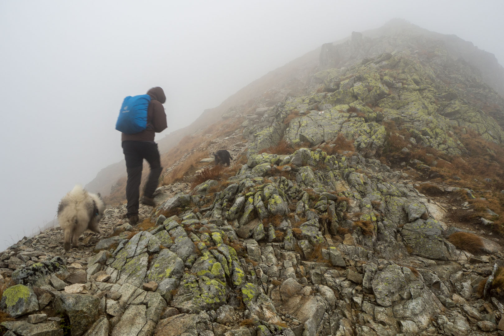 Salatín zo Zuberca, Prtí (Západné Tatry)