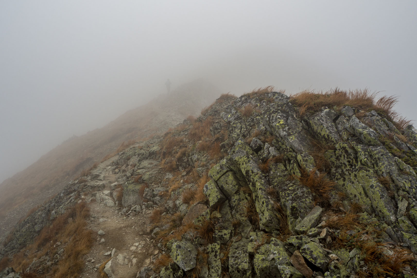 Salatín zo Zuberca, Prtí (Západné Tatry)