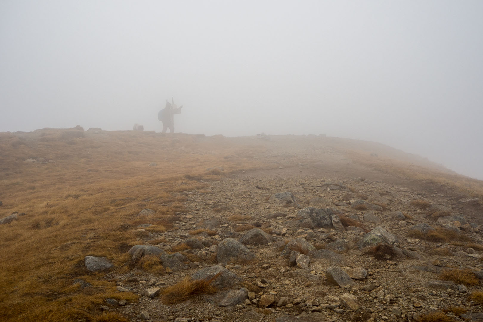 Salatín zo Zuberca, Prtí (Západné Tatry)