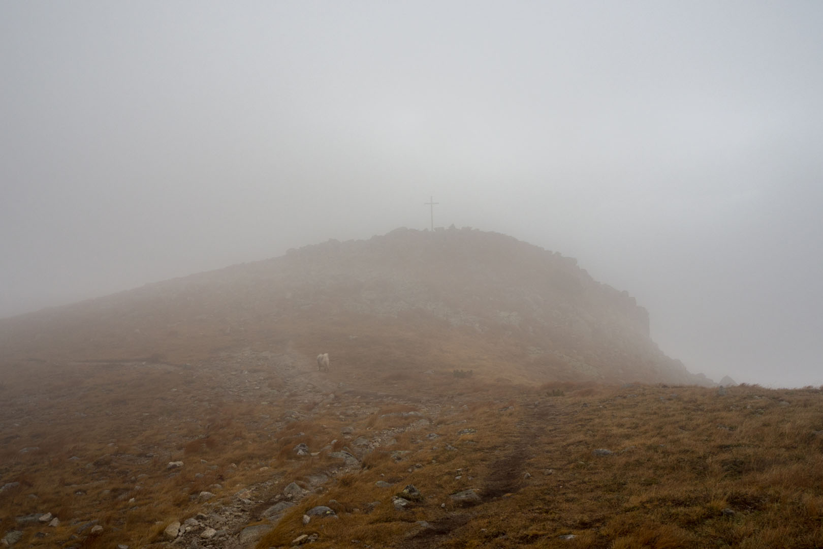 Salatín zo Zuberca, Prtí (Západné Tatry)