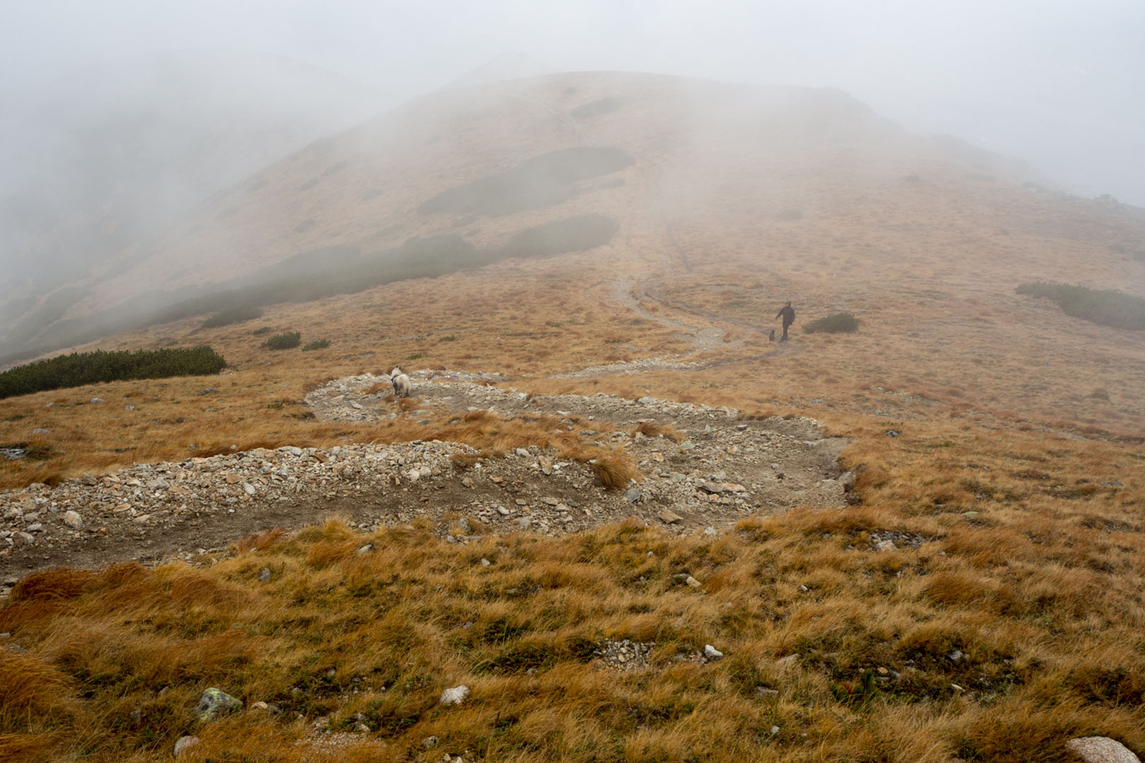 Salatín zo Zuberca, Prtí (Západné Tatry)