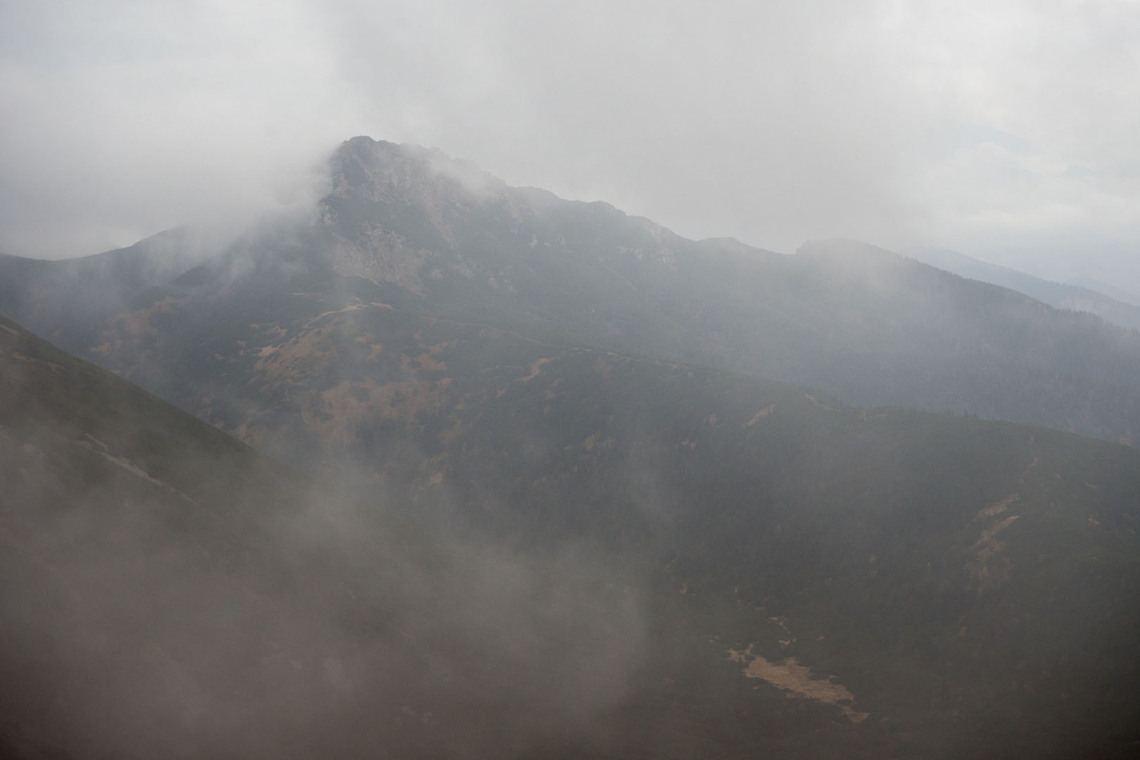 Salatín zo Zuberca, Prtí (Západné Tatry)