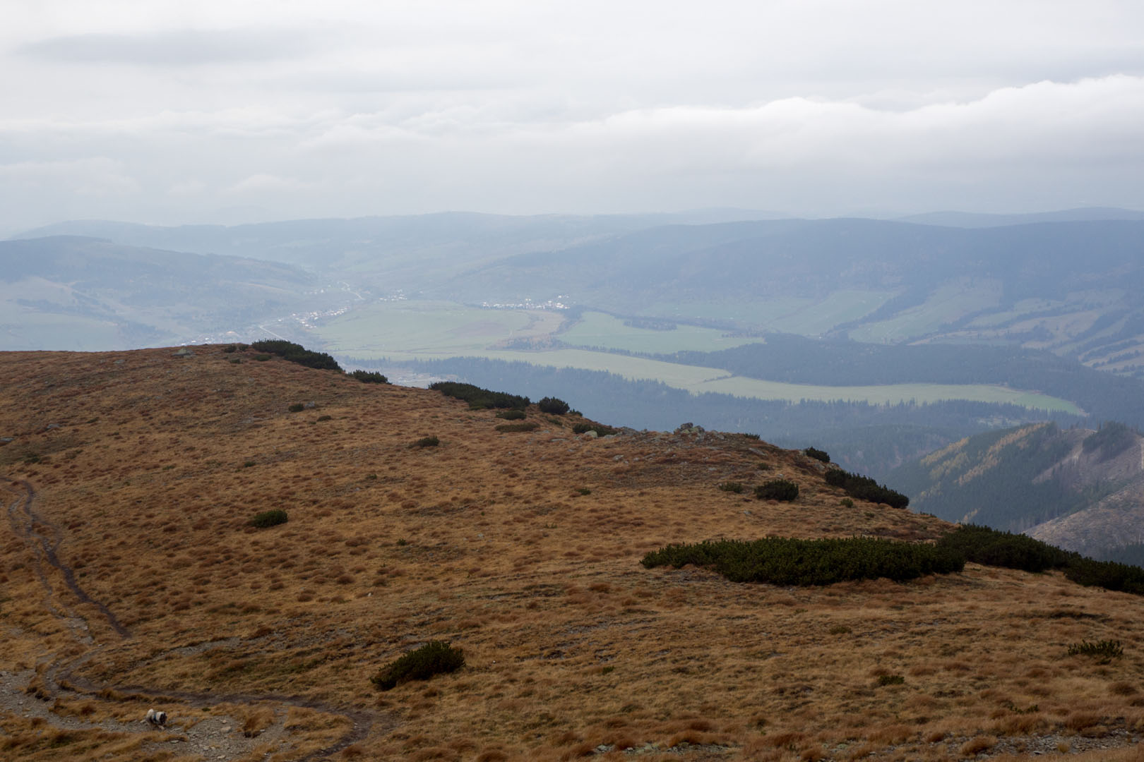 Salatín zo Zuberca, Prtí (Západné Tatry)